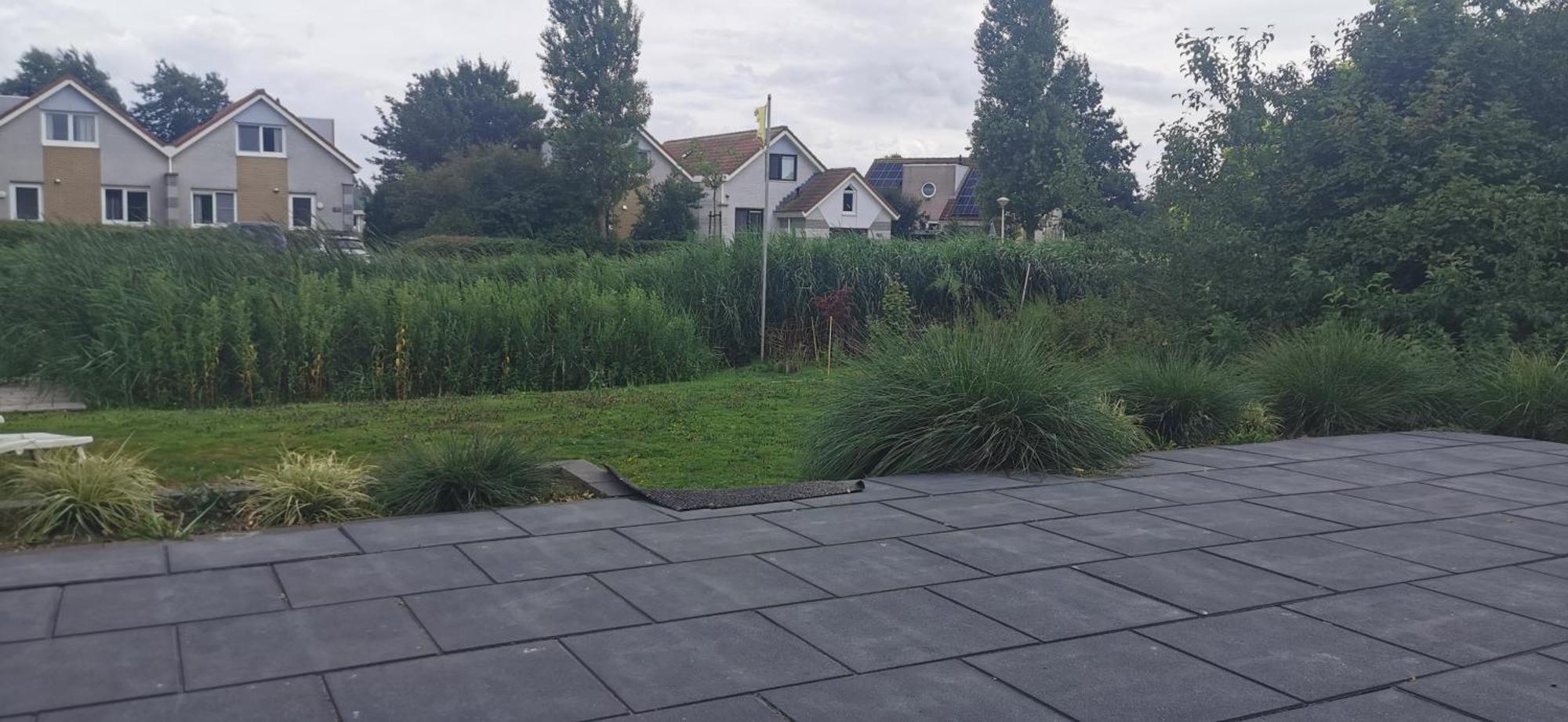 Prachtige Vakantievilla Aan Ijsselmeer Makkum Exterior photo